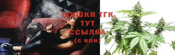 дживик Туринск