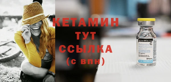 дживик Туринск