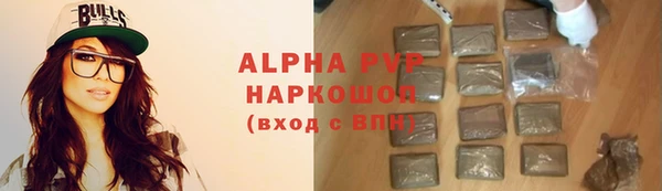 дживик Туринск