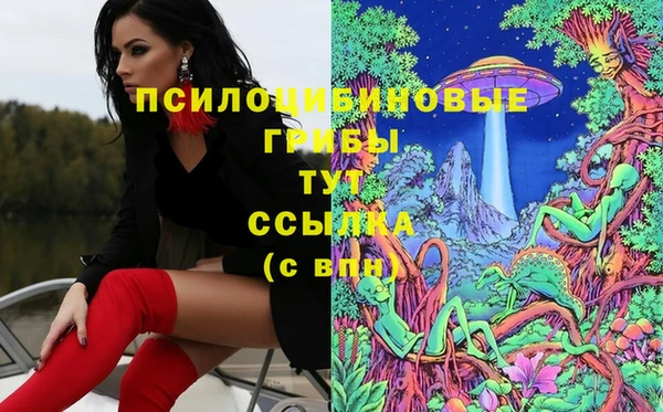индика Нижневартовск