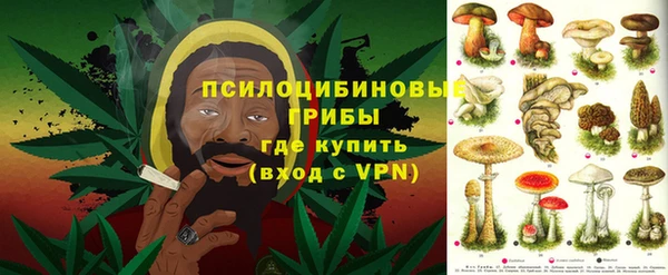 индика Нижневартовск