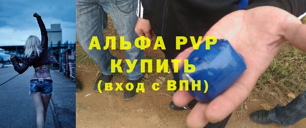 индика Нижневартовск