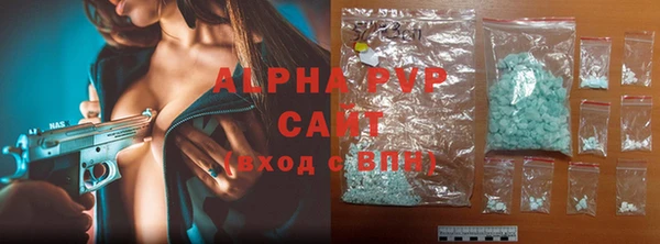 индика Нижневартовск