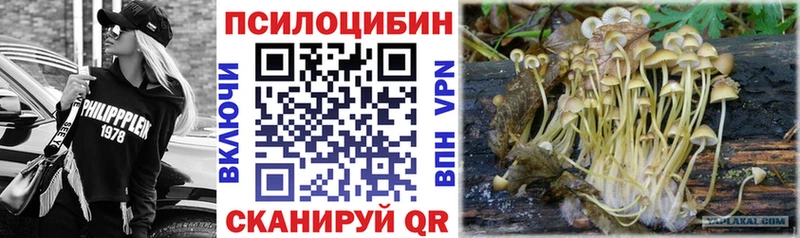 Псилоцибиновые грибы Psilocybine cubensis  цены   Якутск 