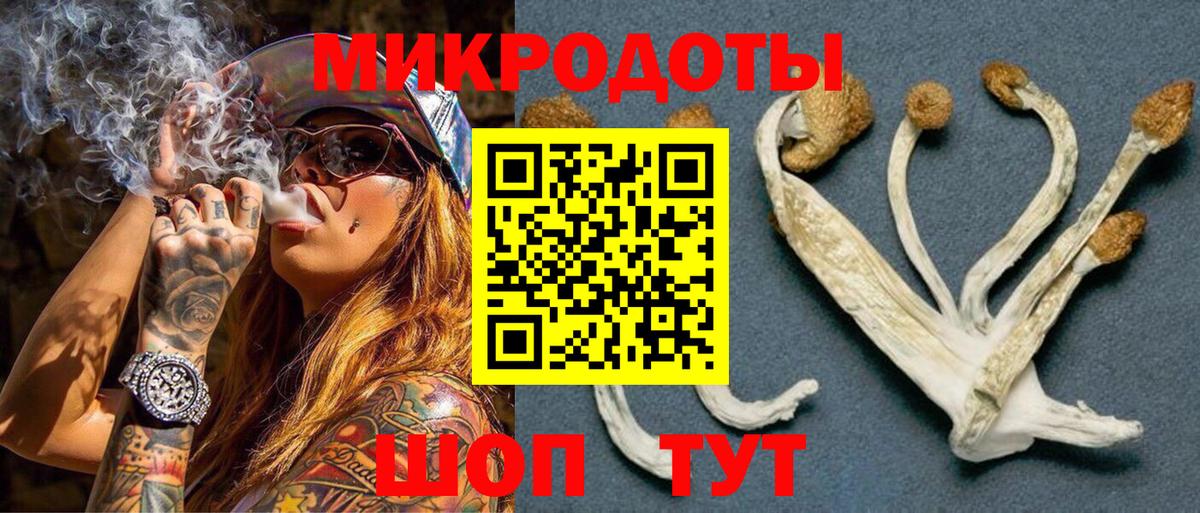 где купить наркотик  Галлюциногенные грибы Cubensis  Вход с VPN  Якутск 
